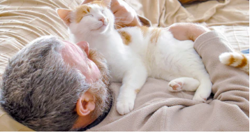 The Ultimate Guide to Understanding Your Feline Friend's Cuddly Habits